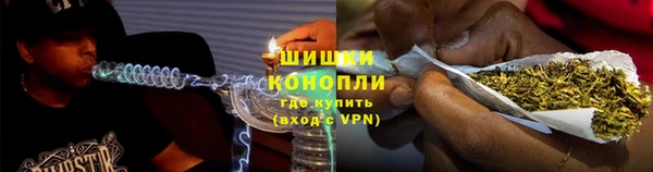 ПСИЛОЦИБИНОВЫЕ ГРИБЫ Баксан