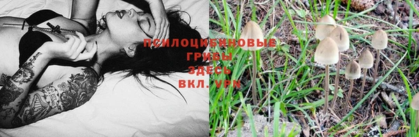 ешки Балахна