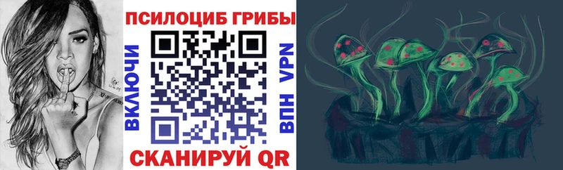 что такое   МЕГА вход  Псилоцибиновые грибы Psilocybe  Черногорск 
